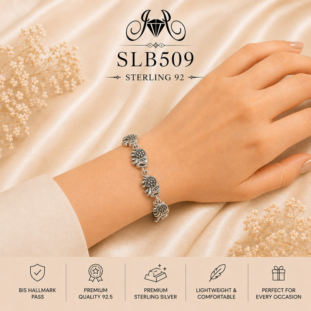 SLB509 bracelet wearing view